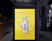 Poster Skin aec.jpg