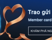 banner.jpg