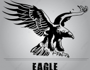 eagle-png_118304.jpg