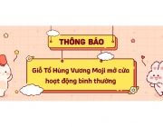 banner tb.png