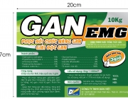 GanEMG(27x20cm).jpg