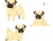 Pug - -Oscar-1.jpg