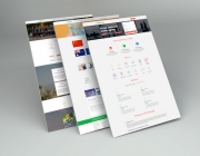 mockup web copy.jpg