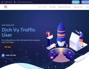 trafficvina.com.png