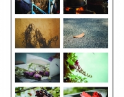 layout-photo1.jpg