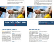 Ho so nang luc BASF Global (file dich song ngu Anh-Viet).jpg
