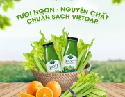 275081351_487328736307698_3211583992557982430_n.png