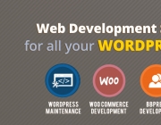 wordpress-banner.jpg