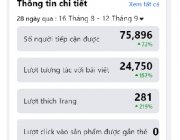 nett-100.jpg