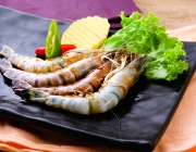 project-Food-photography-08.JPG