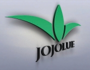 logo jojo lue.jpg