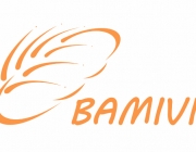 BAMIVI_Option.png