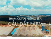 CDFarm.png