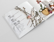 Index notebook 1.png