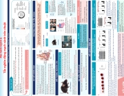 Screenshot (131).png
