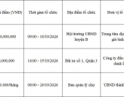 Portfolio_Web_Scraping_Dau_Gia.jpg
