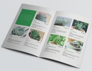 catalog.png