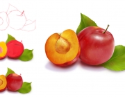 fruit(oanh).jpg