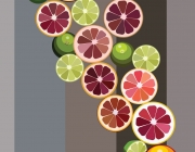 Fruit -Illustration.jpg