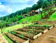 goc-vuon-thong-farm-bistro-pleiku-1.jpg
