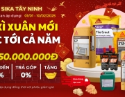 banner ất tỵ - 734x413px nh&acirc;n đ&ocirc;i độ ph&acirc;n giải - tiny.png