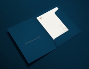Thinh Tran Portfolio 201815.png