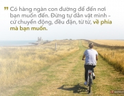 anh2-1477339571172.jpg