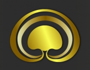 1.PNG