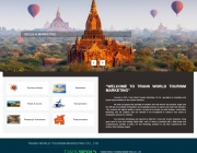 screencapture-transworldreps-1487746944929.png