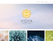 vidyainstitute.jpg