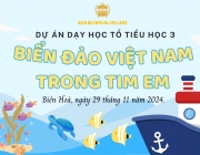 BACKGROUND DỰ &Aacute;N BIỂN ĐẢO.png