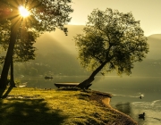 landscape-1192669_1280.jpg