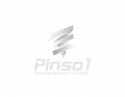 270513_Pinso1_final.jpg