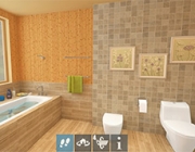 bathroom_project.jpg