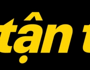 tms-icon-yellow-title.png