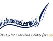 VNmese.learning.jpg