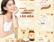 bi quyet hoi xuan-05.jpg