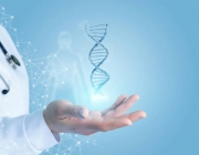istockphoto-1028347778-612x612.jpg