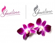 logo.jpg