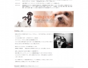screencapture-kinuta-aiken-com-1452308323246.png