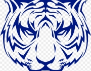 71325920_117206289673309_7482499745995292672_n.png