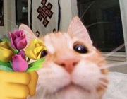 33F72D6B-2B99-4042-9C31-11399B5BE77F.jpeg