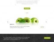 web_fruit_05.jpg