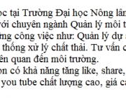 ho so.PNG