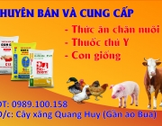 Card-Hanh-Van-MSAU.jpg