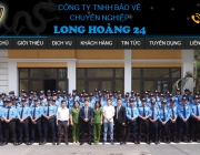 thiet-ke-frelanvn.png
