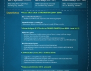 Viet Luu resume.png