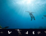 flying-in-the-sea-stock1.jpg