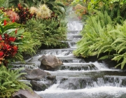 Waterfall.jpg