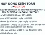 HOP DONG KIEM TOAN V.png